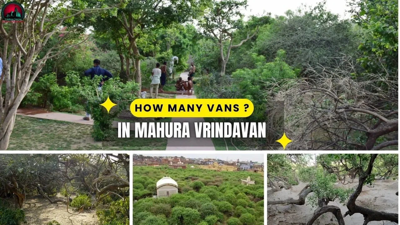 How Many Vans in Mathura Vrindavan- History, Book Packages & More